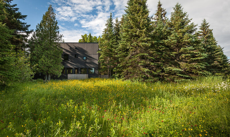 Modern House in Meadow