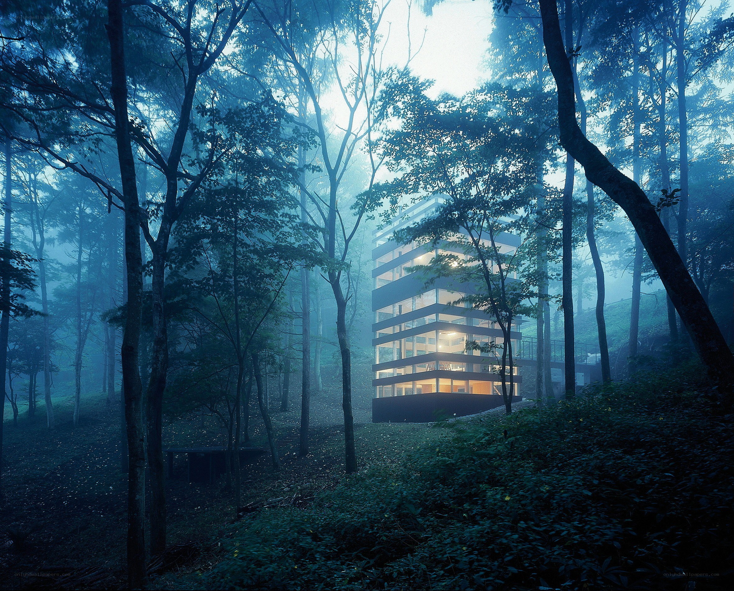 Modern house in misty forest