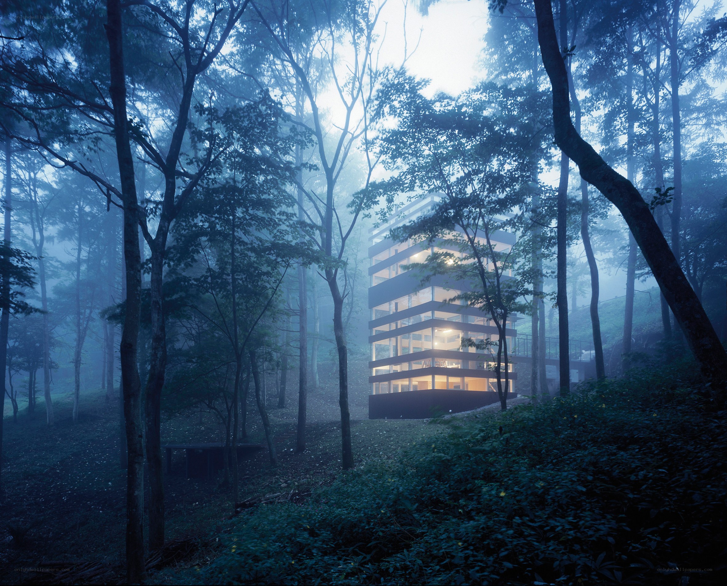 Modern house in misty forest