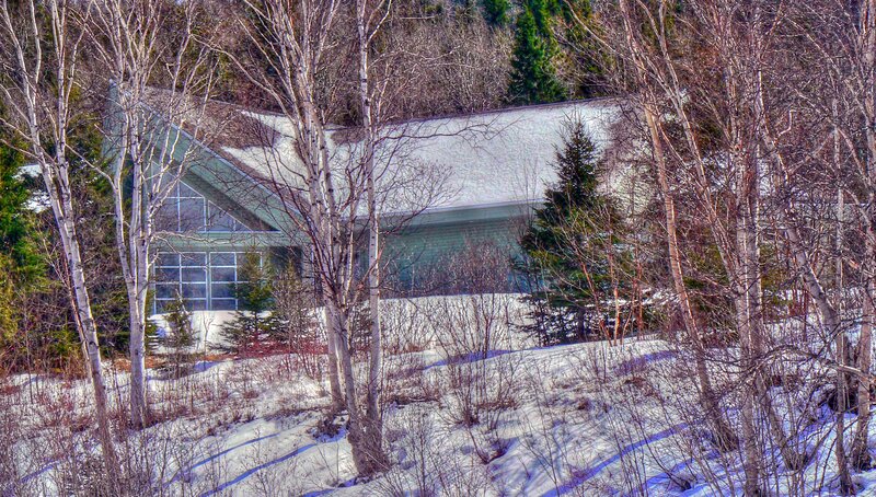 Modern house in snowy forest