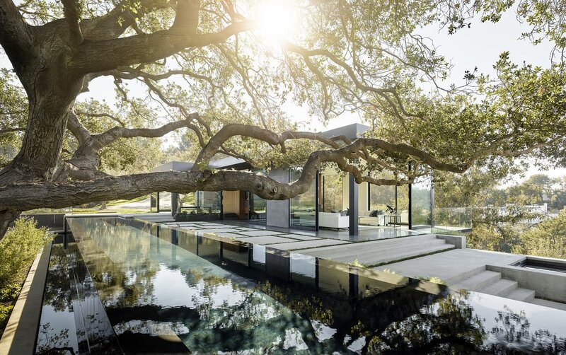 Modern House under Tree