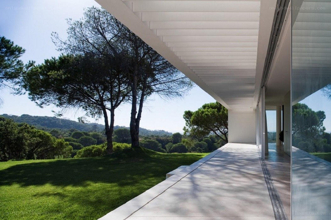 Modern house with garden view