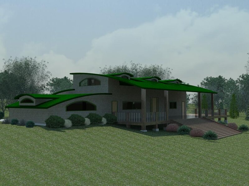 Modern house with green roof