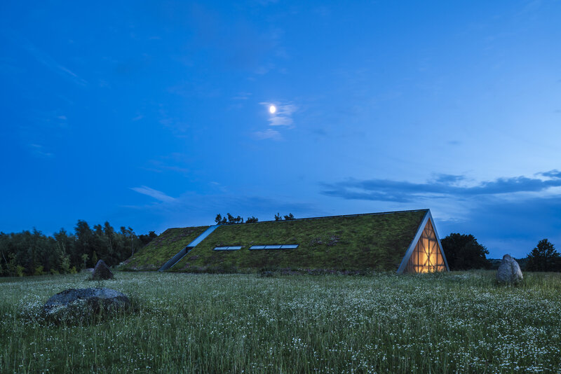 Modern House with Green Roof — Blue