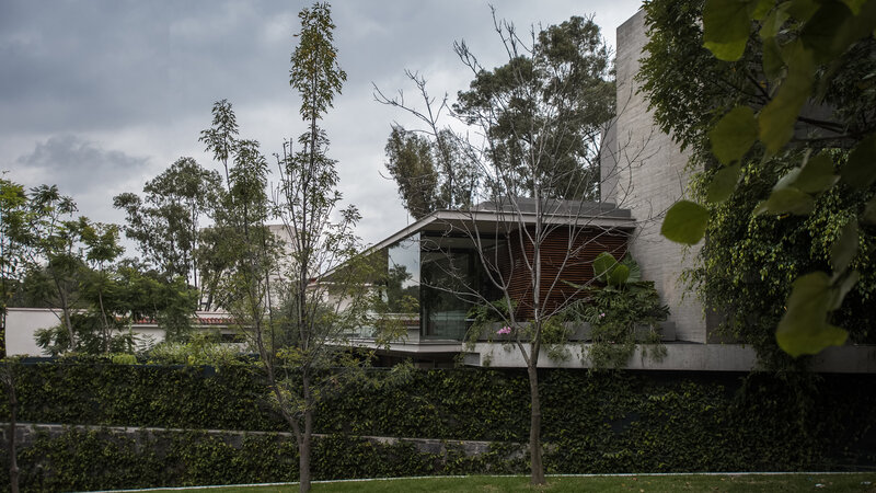 Modern House with Green Wall