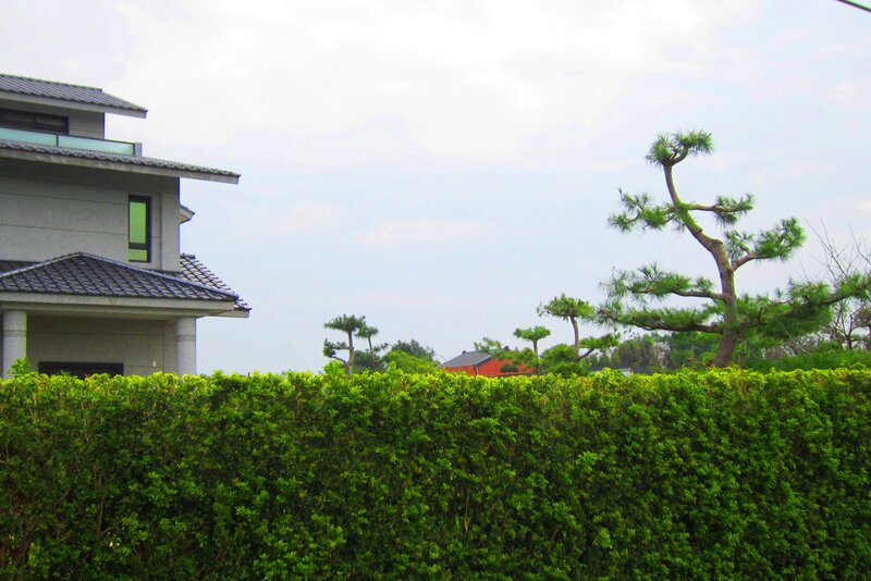 Modern House with Hedge