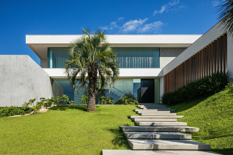 Modern House with Palm Tree