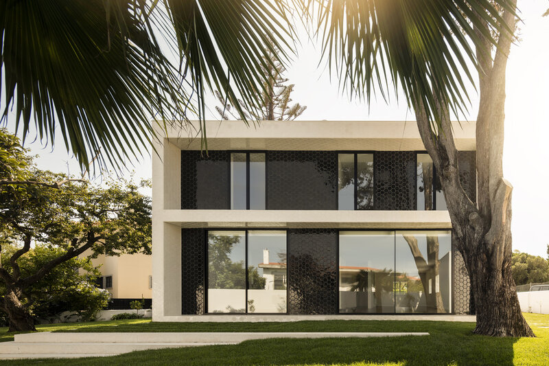 Modern House with Palm Trees — Green