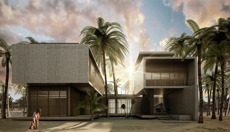 Modern House with Palm Trees