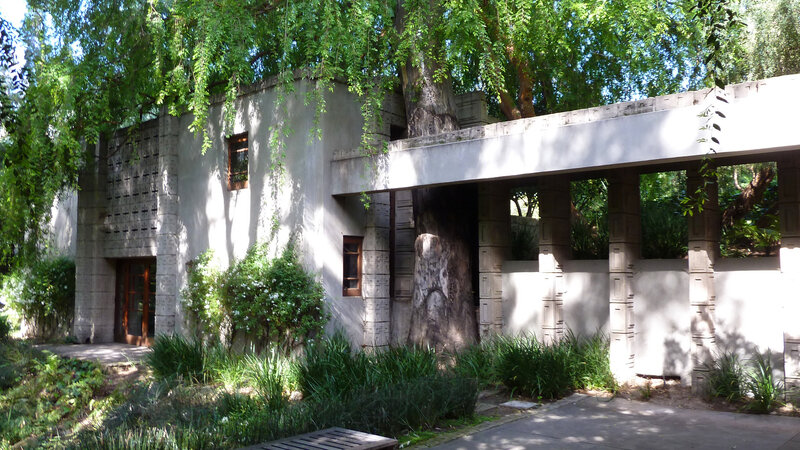 modern house with tree integration