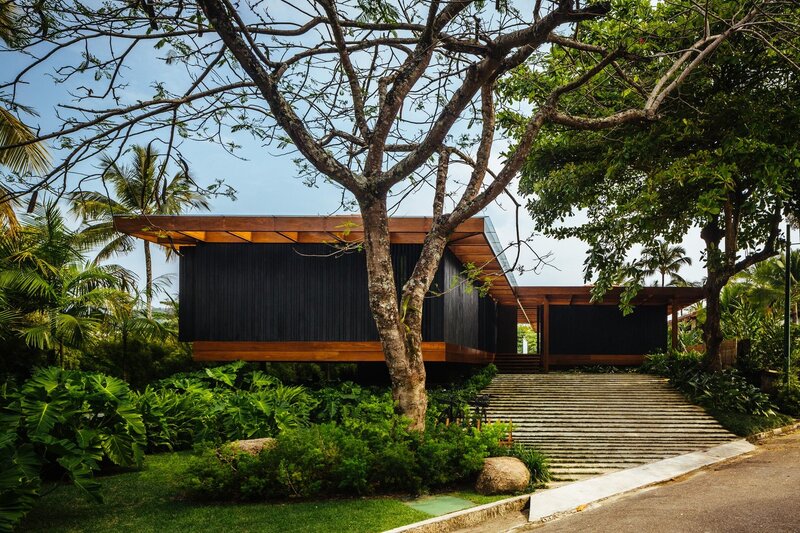 Modern House with Tree