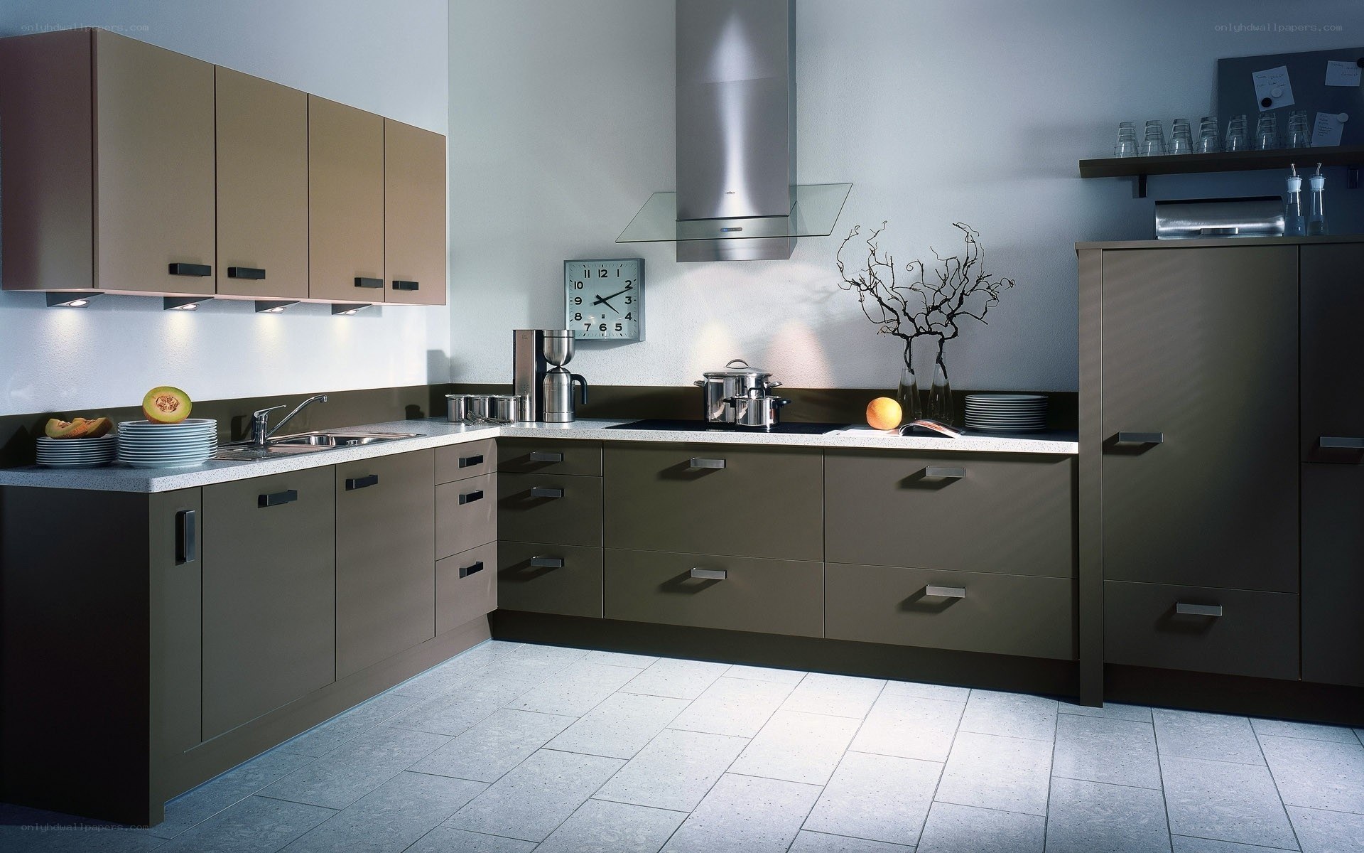 Modern kitchen with brown cabinets