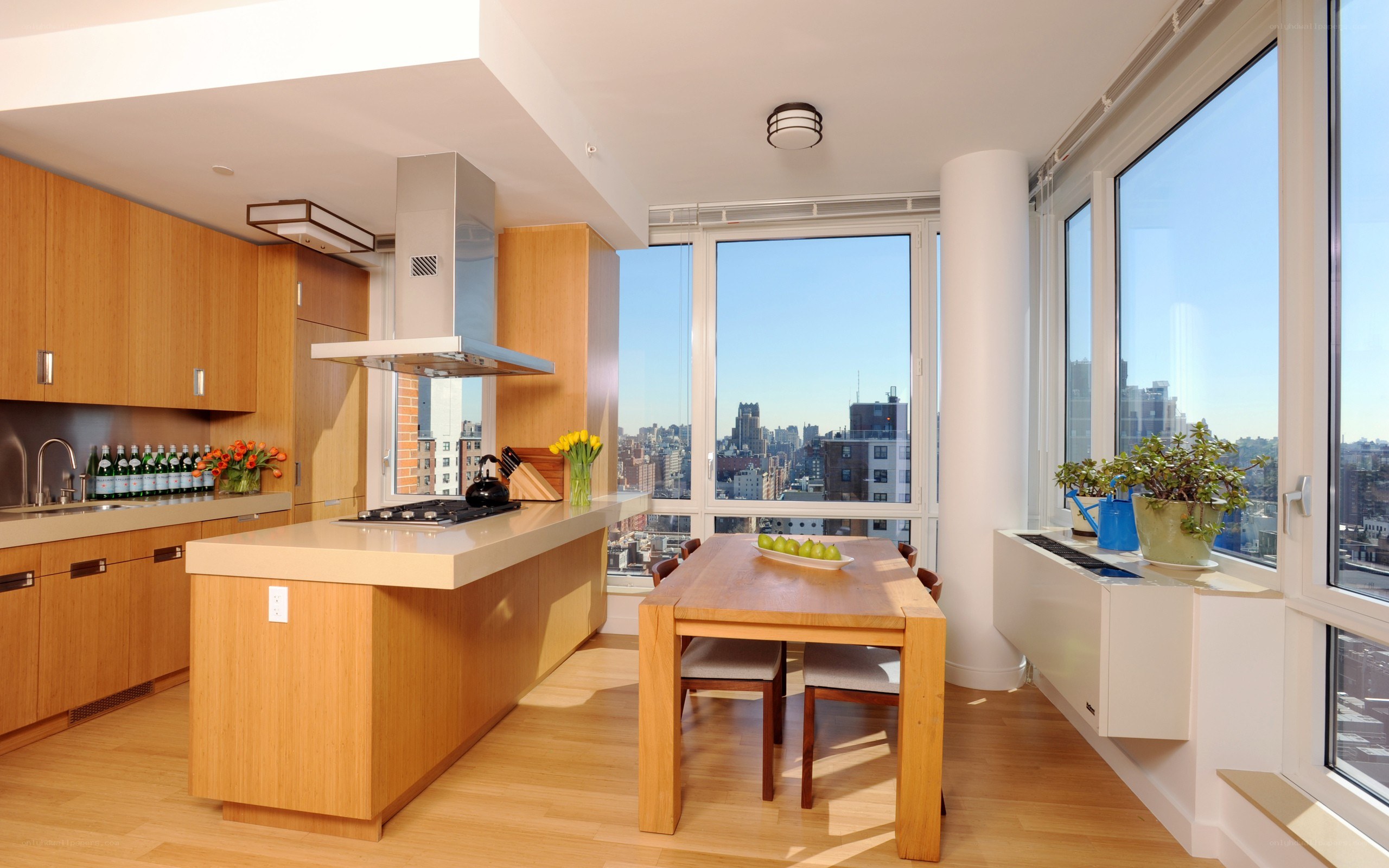 Modern kitchen with city view