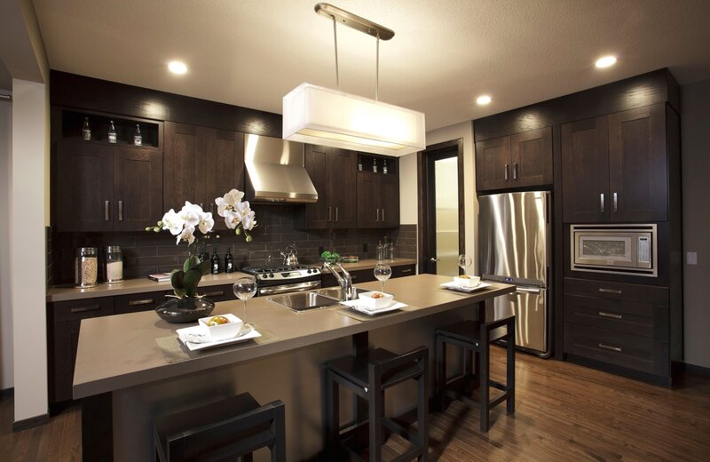 modern kitchen with dark cabinets