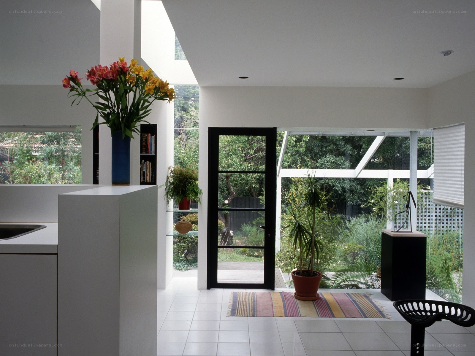 Modern kitchen with garden view
