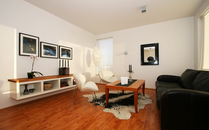 Modern living room with black sofa