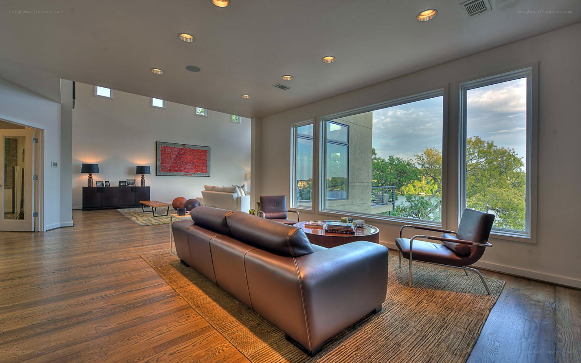 Modern living room with leather sofa