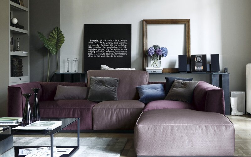 Modern living room with purple sofa