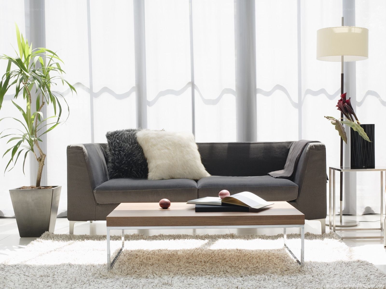 Modern living room with sofa