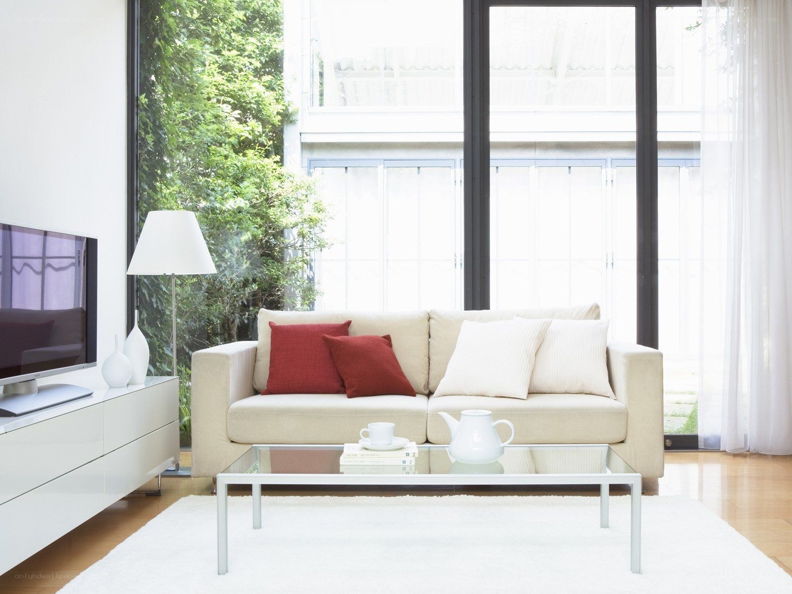 Modern living room with sofa