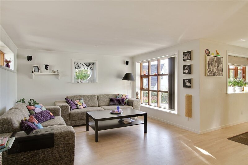 Modern living room with sofas