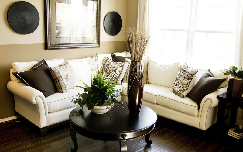 Modern living room with white sofa