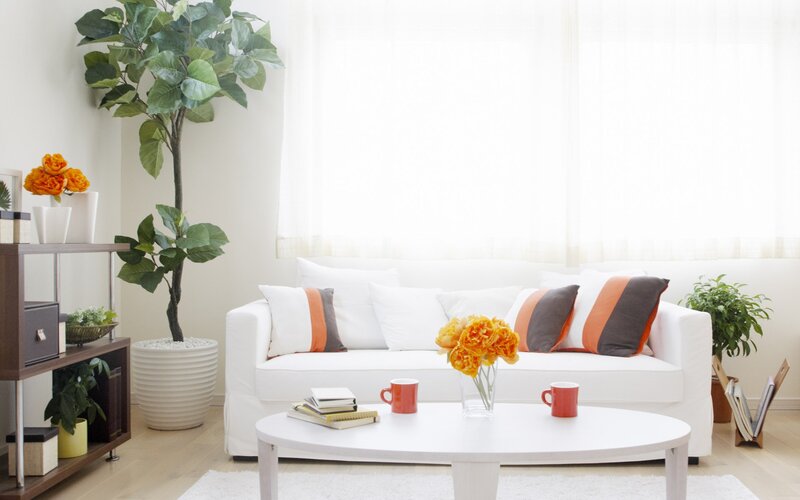 Modern living room with white sofa