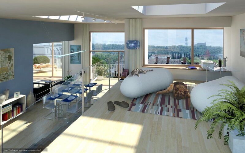 Modern loft with pets and city view