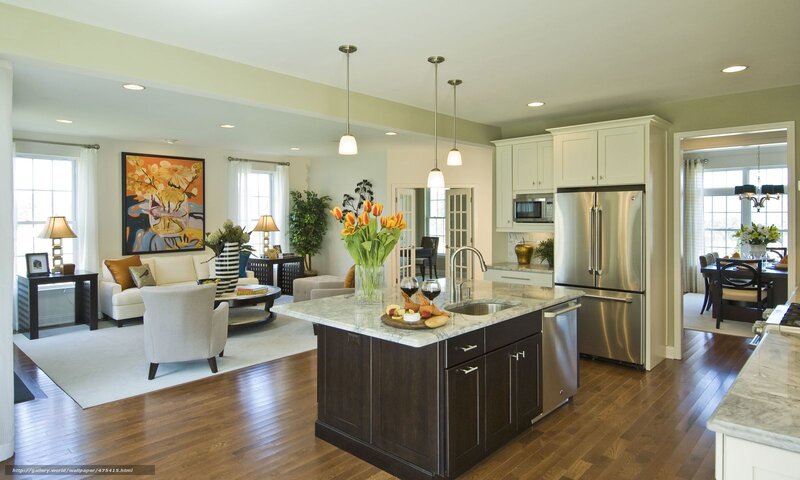 Modern open-concept kitchen and living room