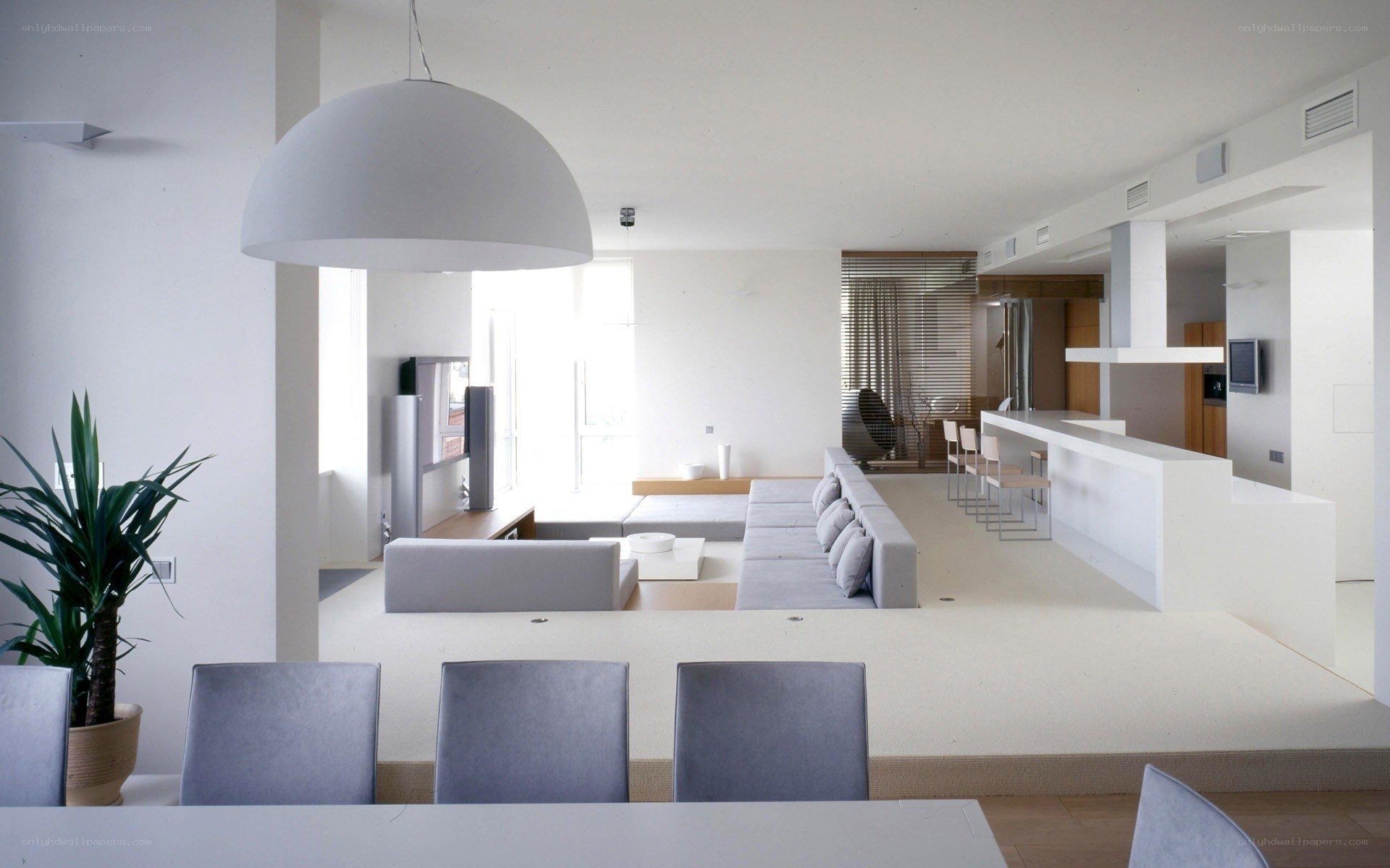 Modern open-plan living space