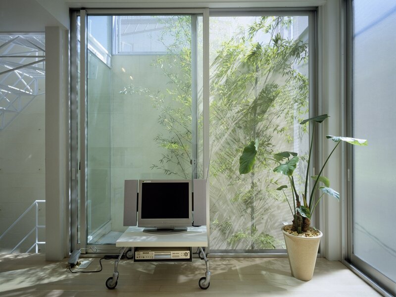 Modern room with plants and computer