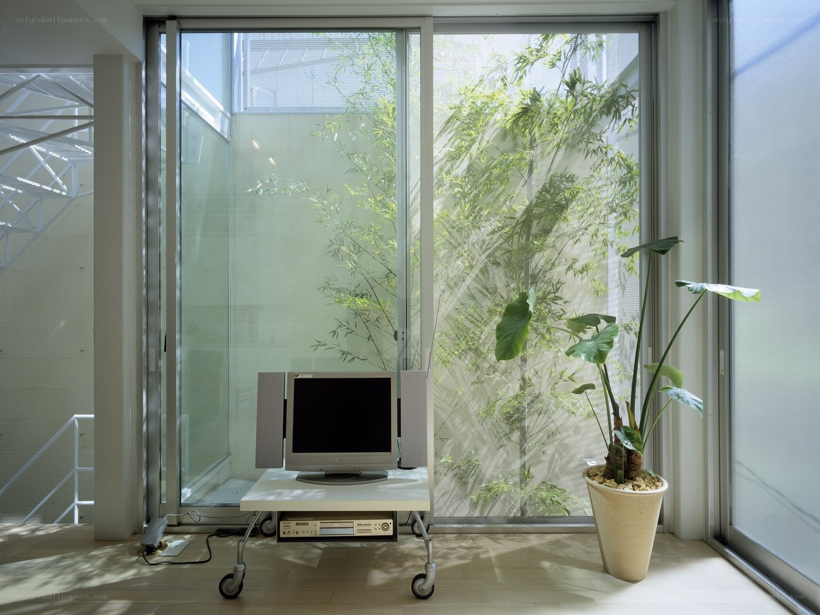 Modern room with plants and computer