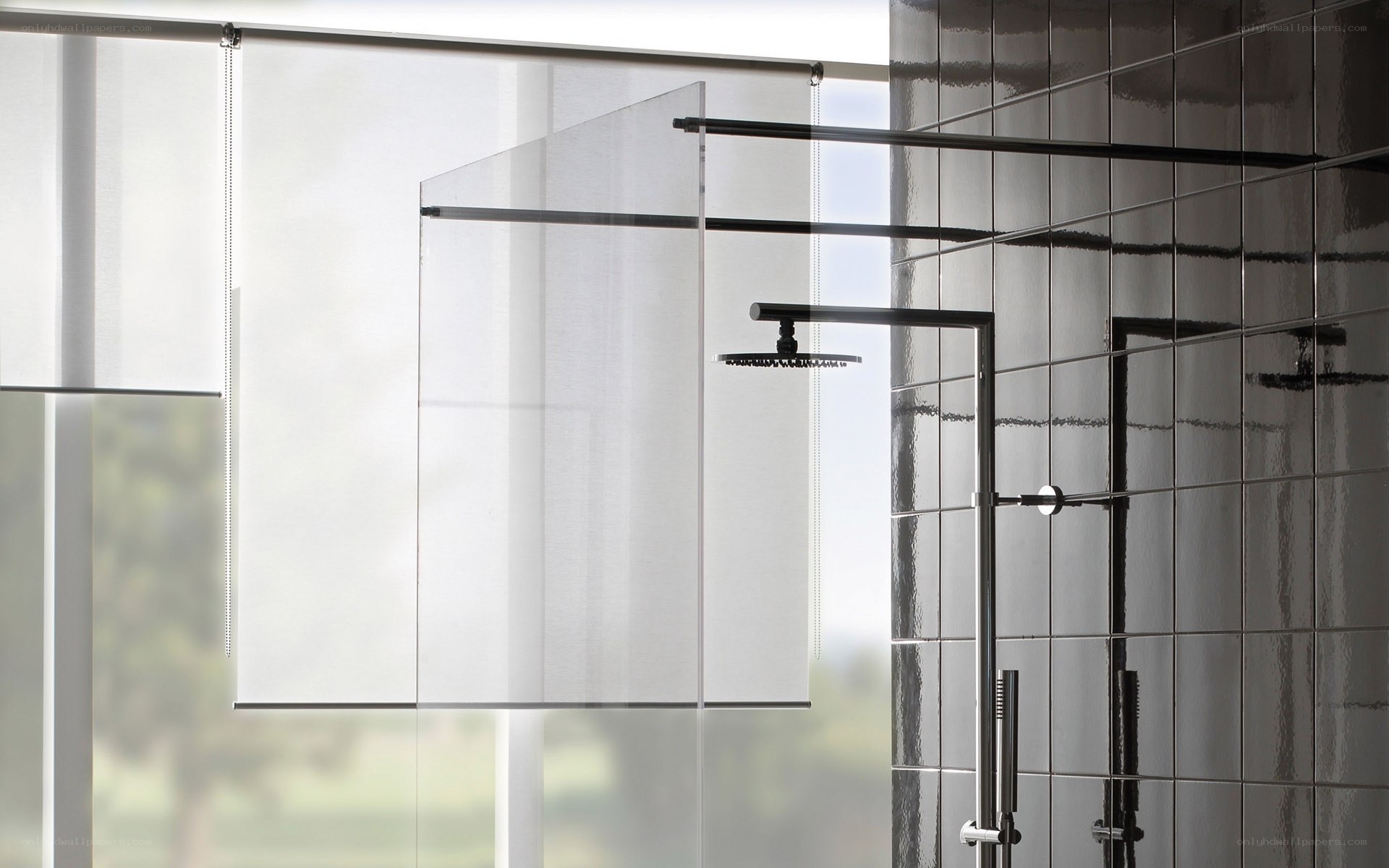 modern shower with privacy screen