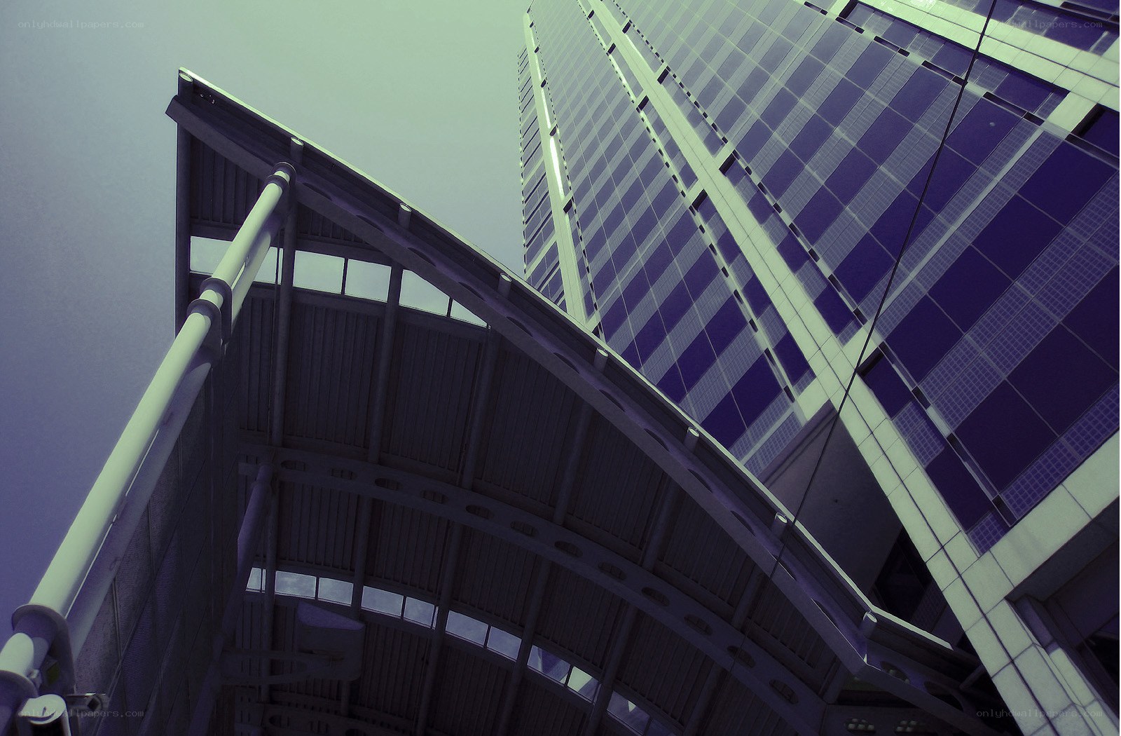 Modern skyscraper from below