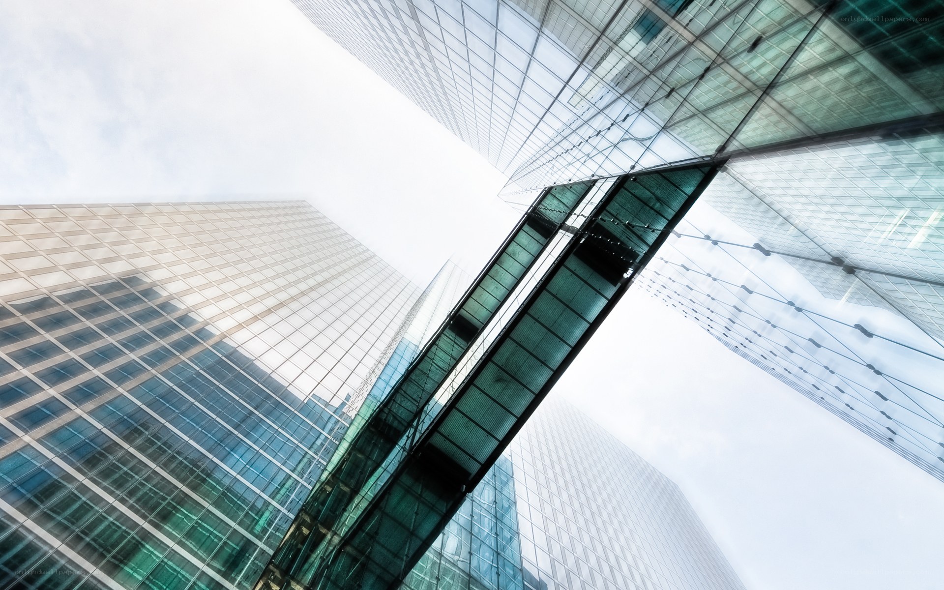 Modern skyscrapers from below