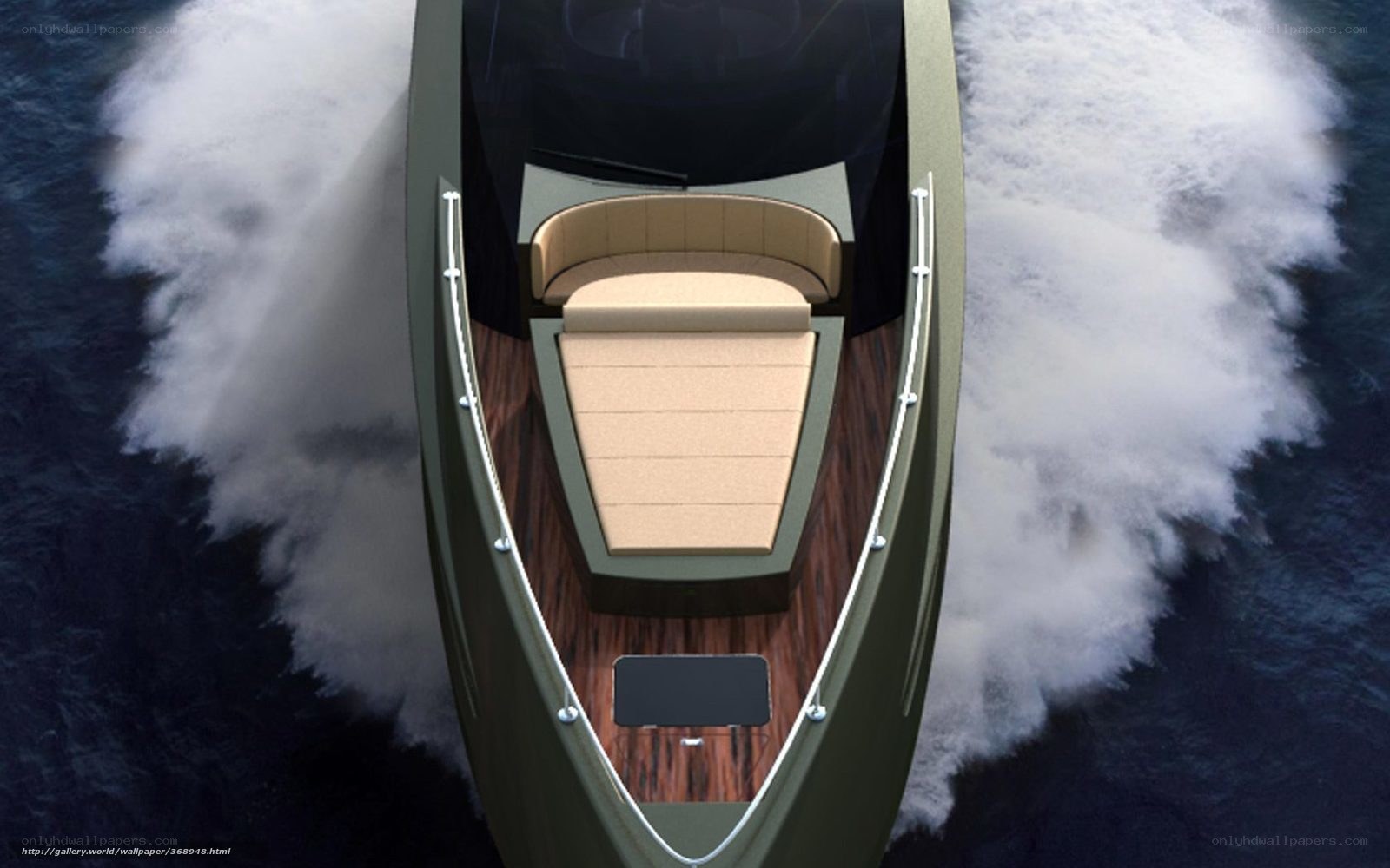 modern speedboat on water