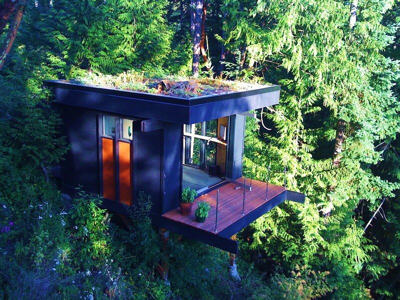 Modern treehouse in forest