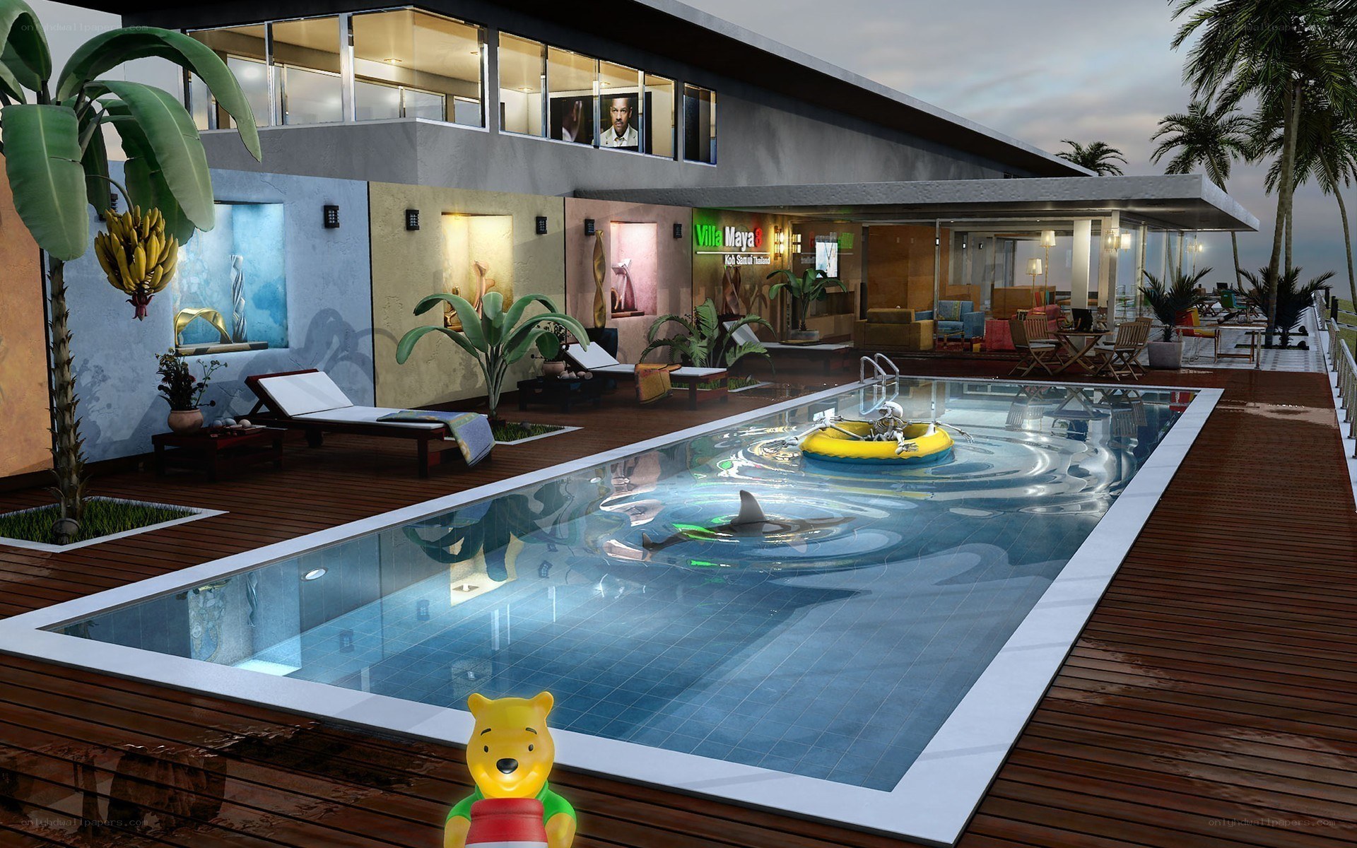 Modern villa with pool and shark