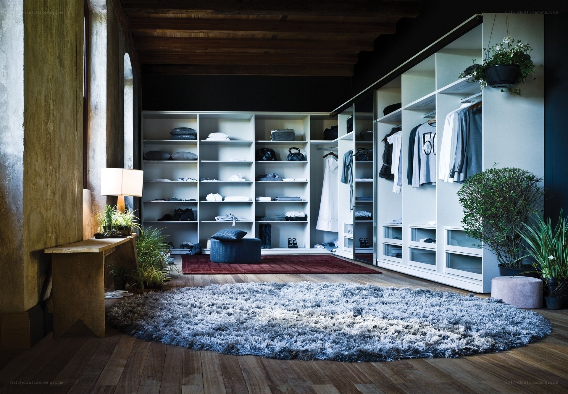 Modern walk-in closet with storage