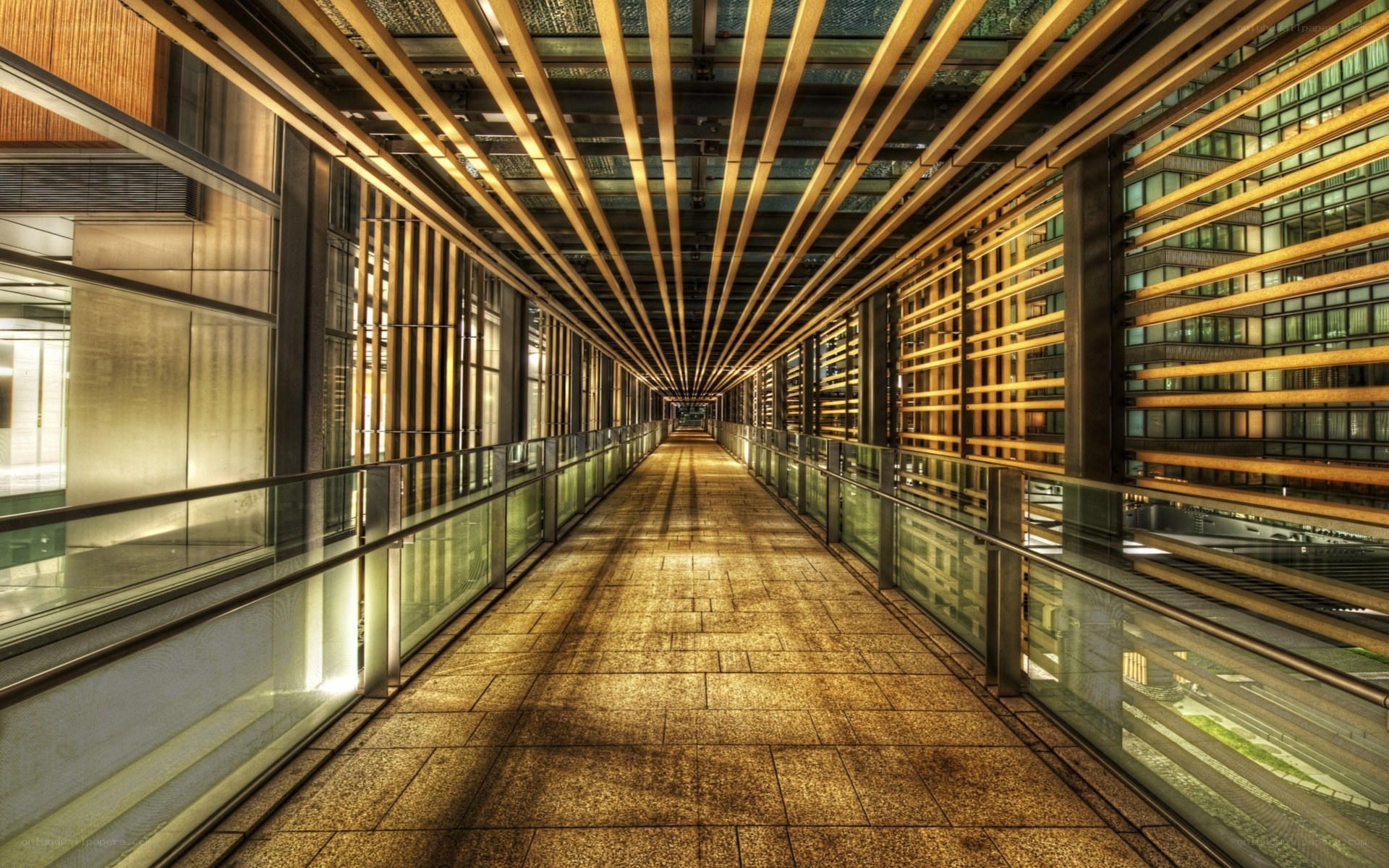 modern walkway with wooden ceiling