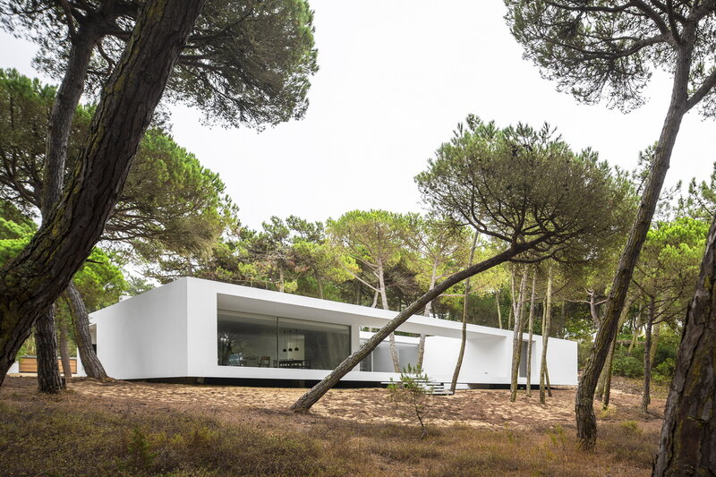 Modern White House — Serene, Afternoon, Photograph, Trees