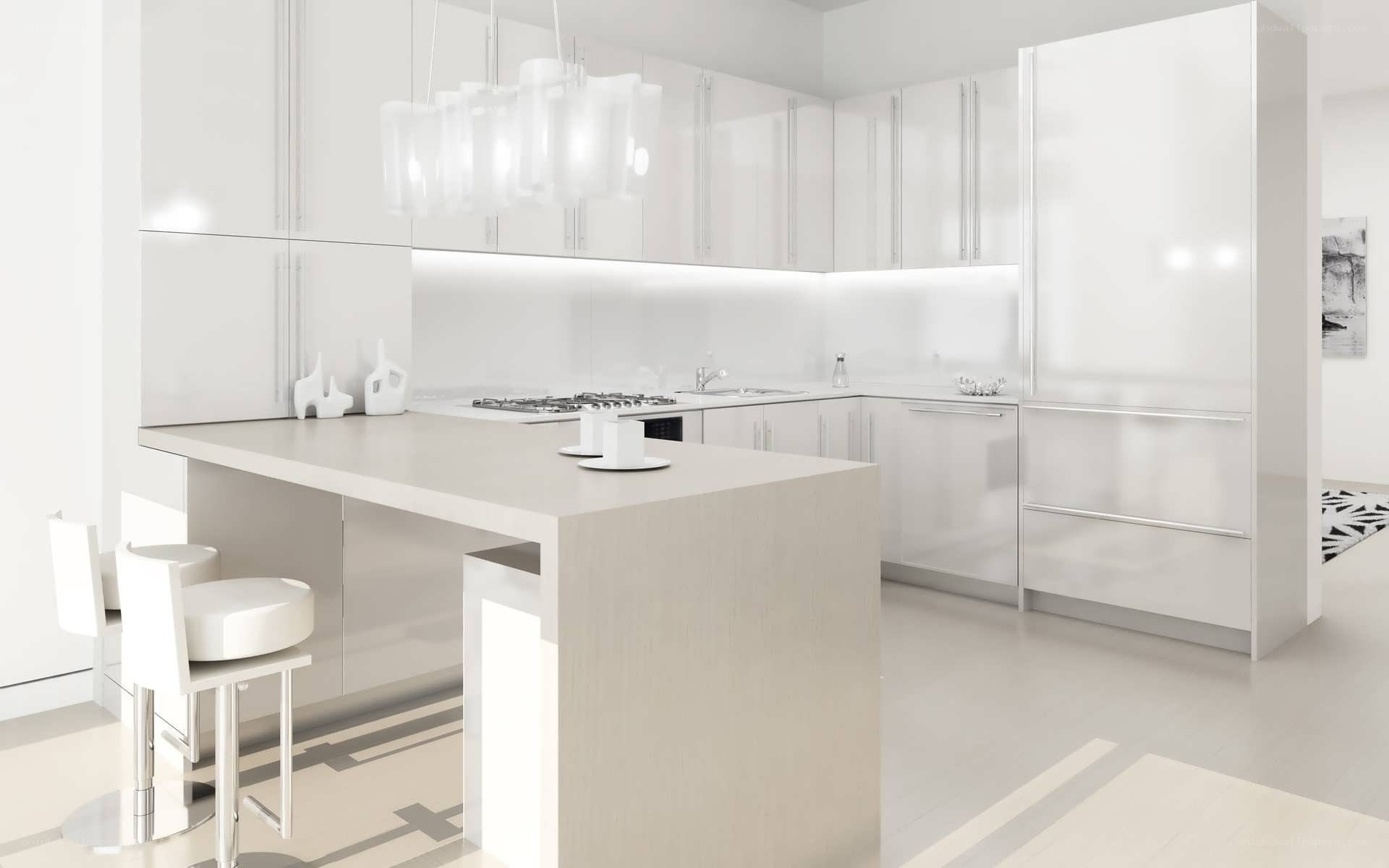 Modern white kitchen interior