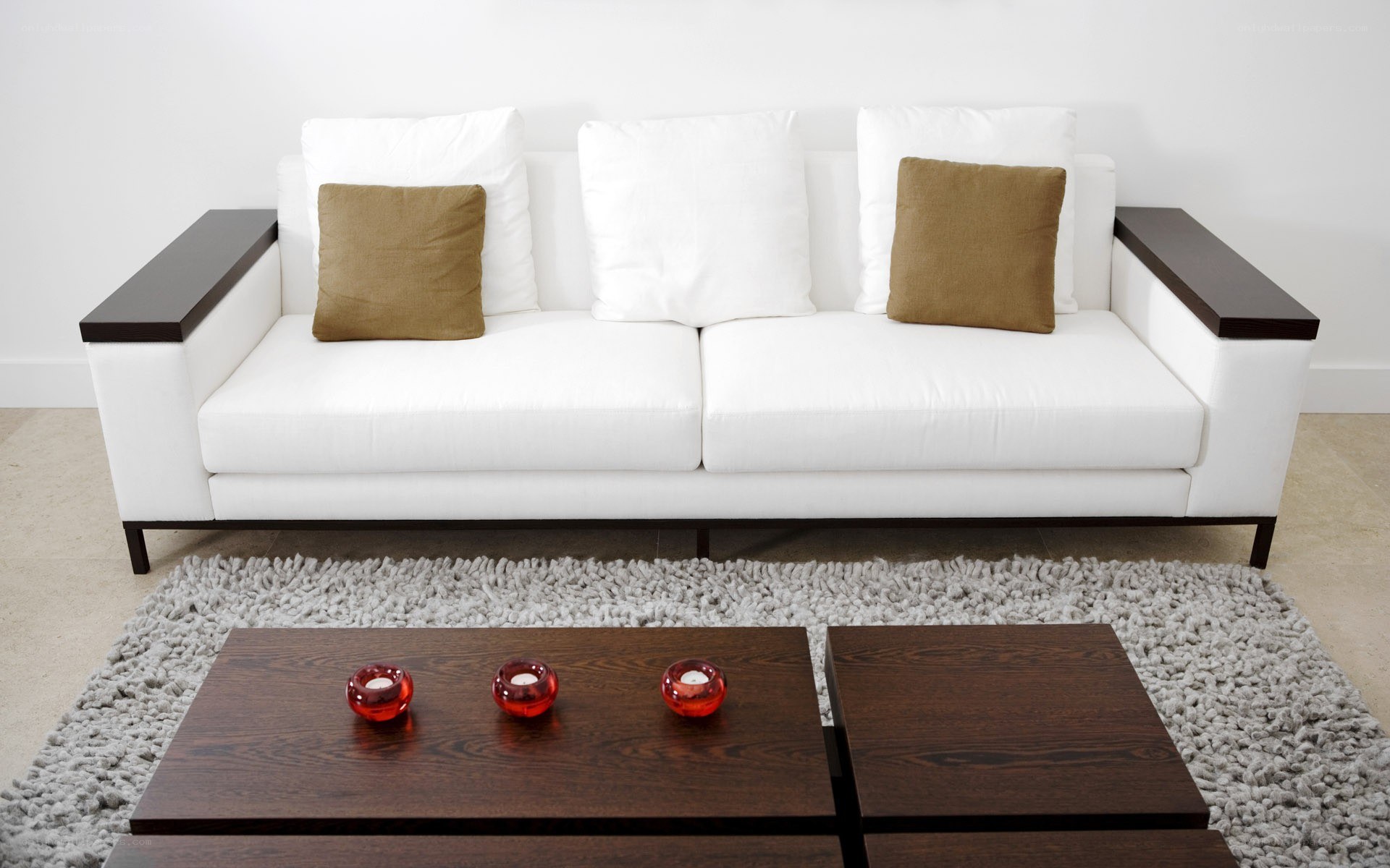 Modern white sofa with wooden coffee table