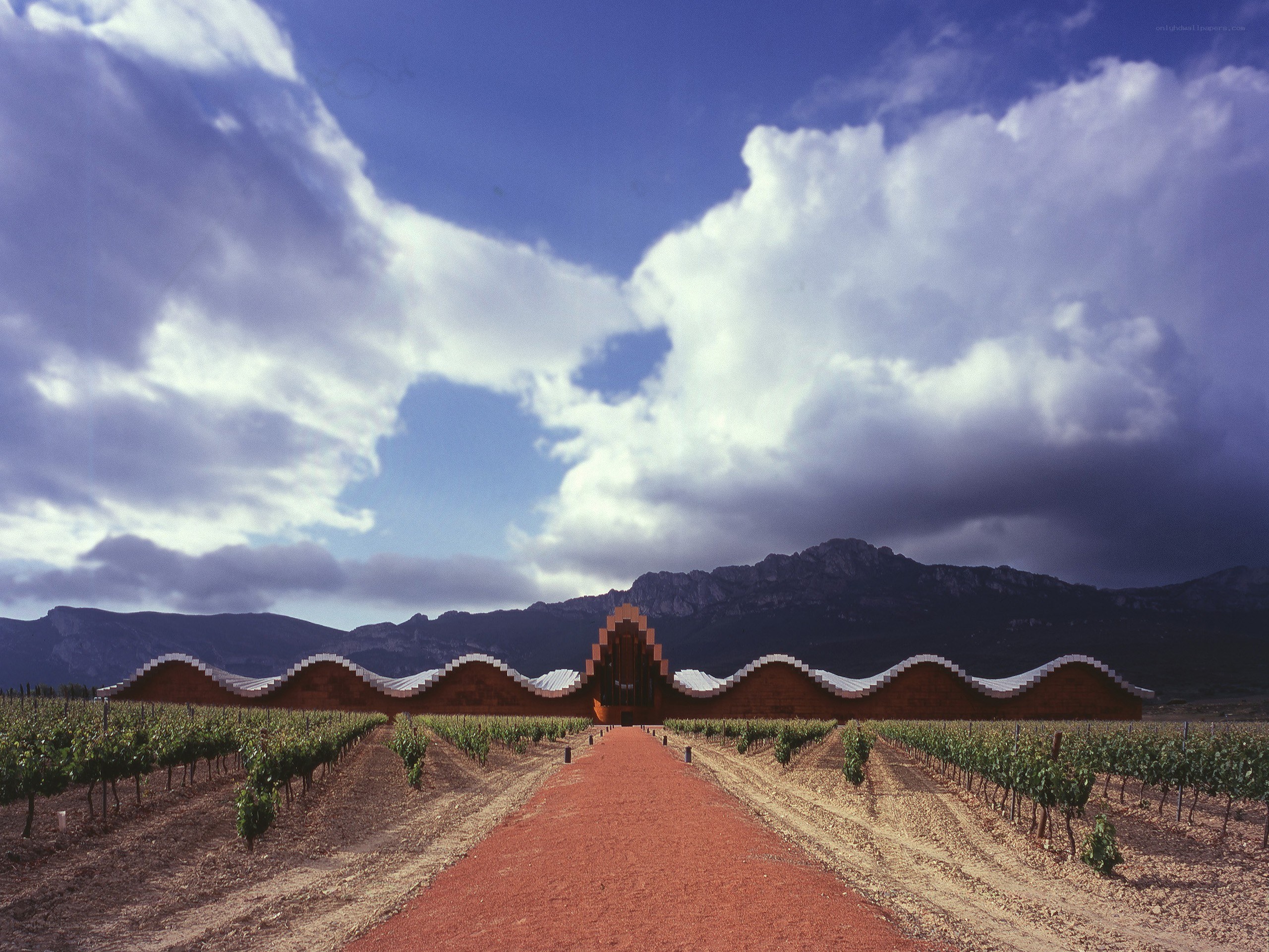Modern winery in a vineyard
