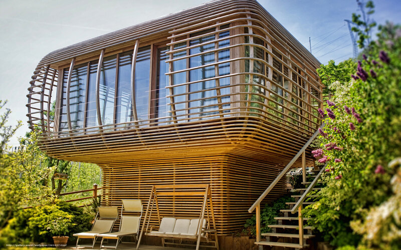 Modern wooden house with garden