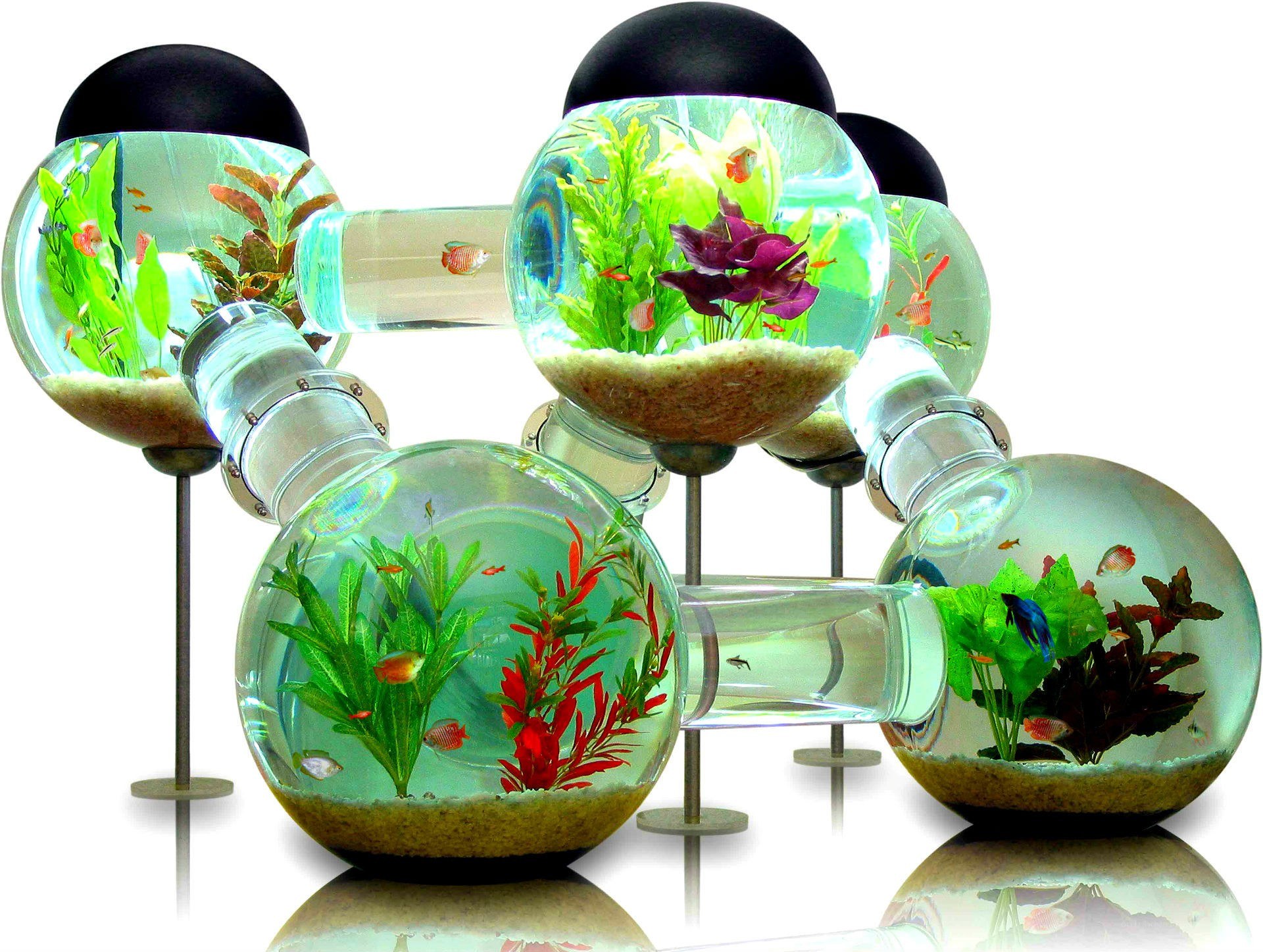 modular fish tank system