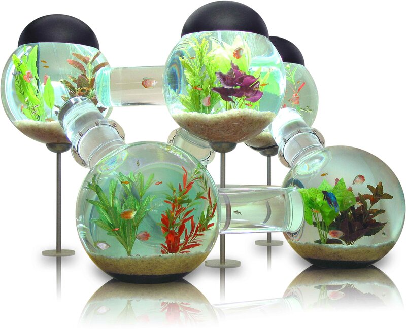 modular fish tank system