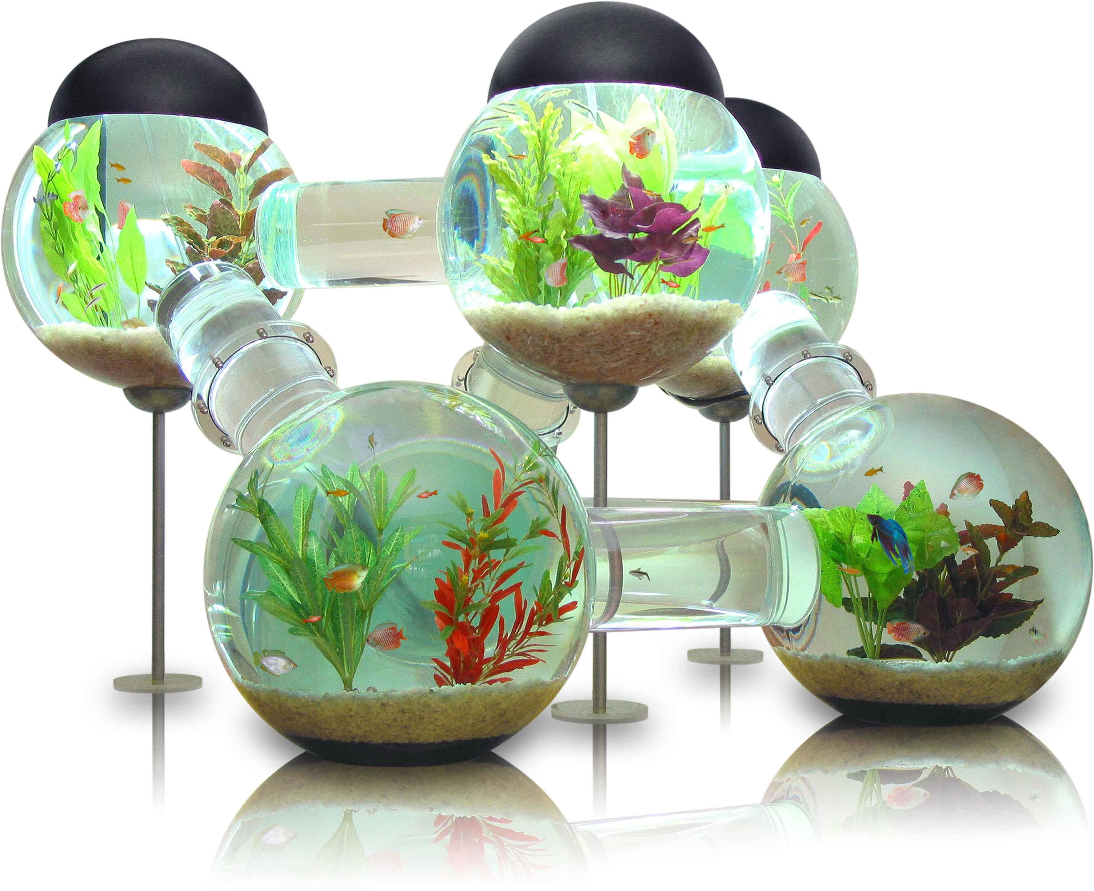 modular fish tank system