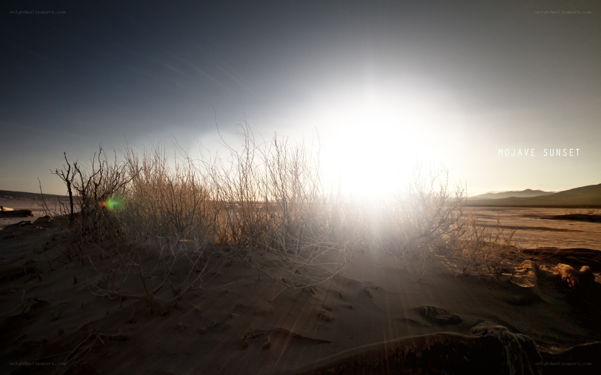 Mojave sunset landscape