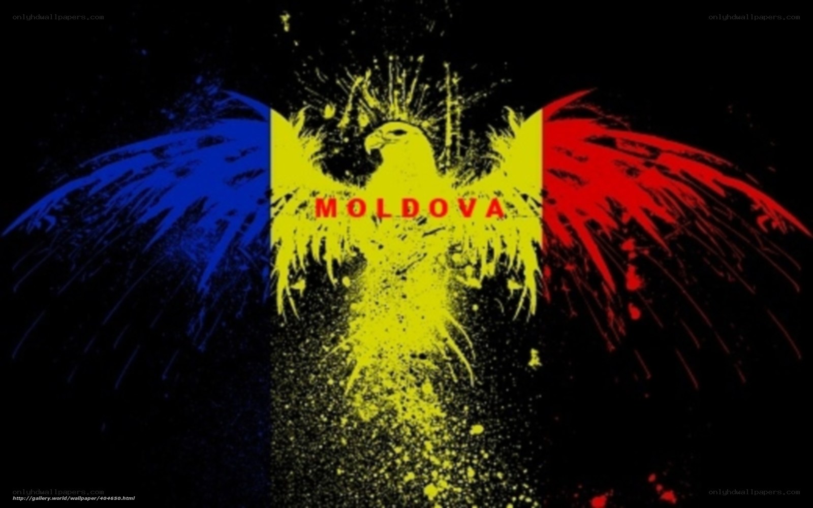 Moldova flag with eagle